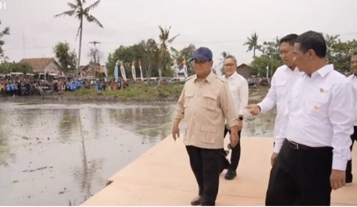 Presiden Prabowo Hadiri Panen Raya di Karawang, Umumkan Capaian Swasembada Pangan Nasional