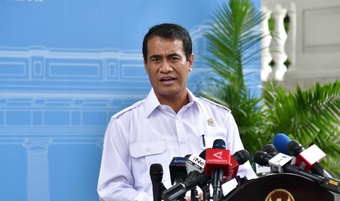 Pemerintah Kucurkan Rp9,5 Triliun untuk Hilirisasi Perkebunan