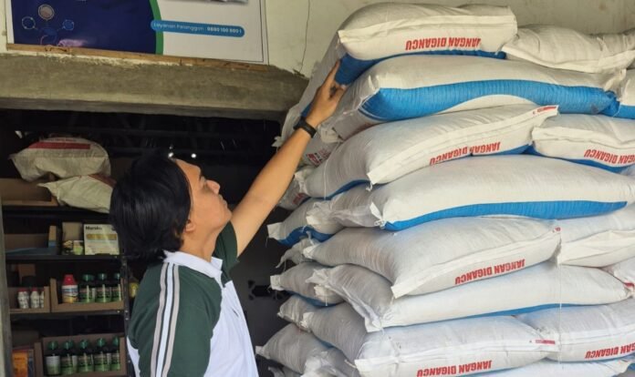 Masuk Musim Tanam, 200 Ton Pupuk NPK Disalurkan ke Karawang