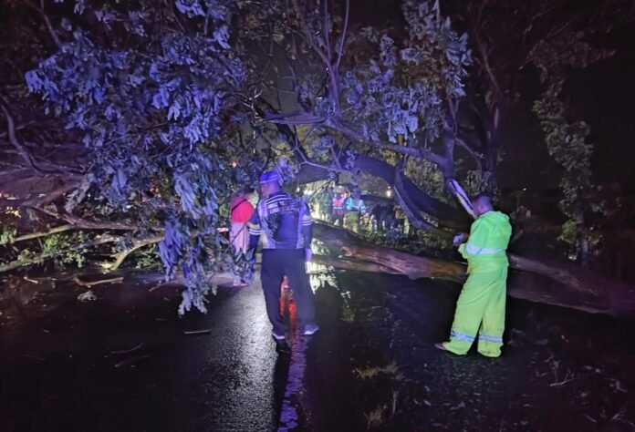 Personel Polsek Patokbeusi Evakuasi Pohon Tumbang di Jalan Nasional Jalur Pantura