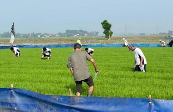 Kementan Adopsi Gagasan IPB, Gerakan Nasional Pengendalian Hama Digelar Serentak