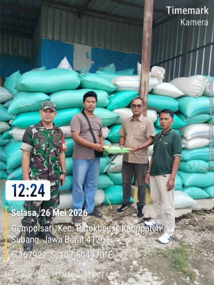 Penuh Semangat, Babinsa Koramil 0507/Pabuaran Dampingi Penyerapan Gabah Petani Oleh Bulog