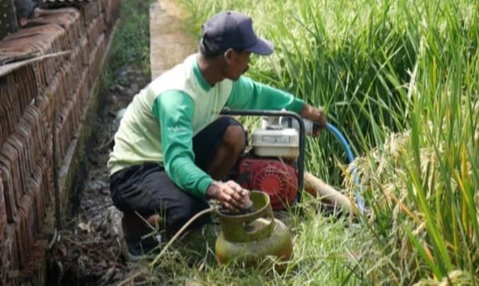 Gas Melon Langka di Tiga Kecamatan Subang, Diduga Dipakai untuk Pompa Air Sawah